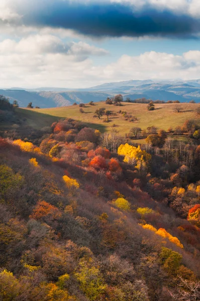 Ogromna kolory jesieni w Gruzji Zdjęcia Stockowe bez tantiem