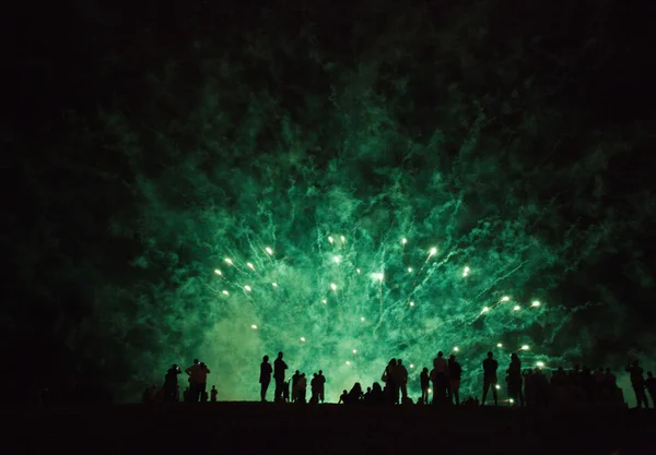Nacht vuurwerk — Stockfoto