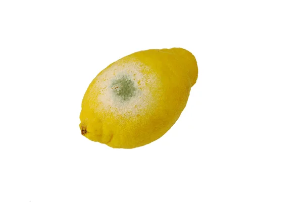 Гнилой лимон — стоковое фото