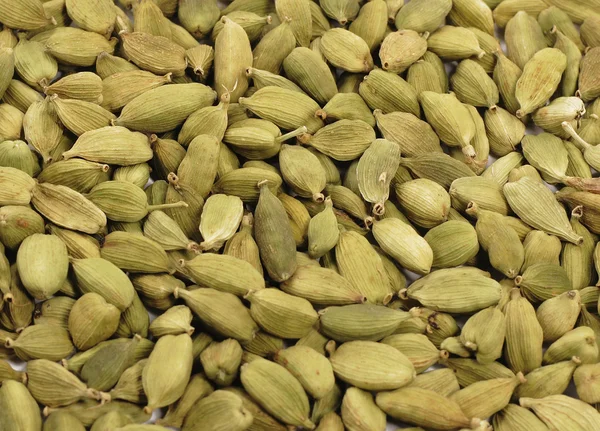 stock image Cardamom