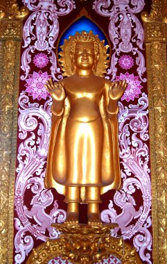 Buddha in the temple of Thailand.