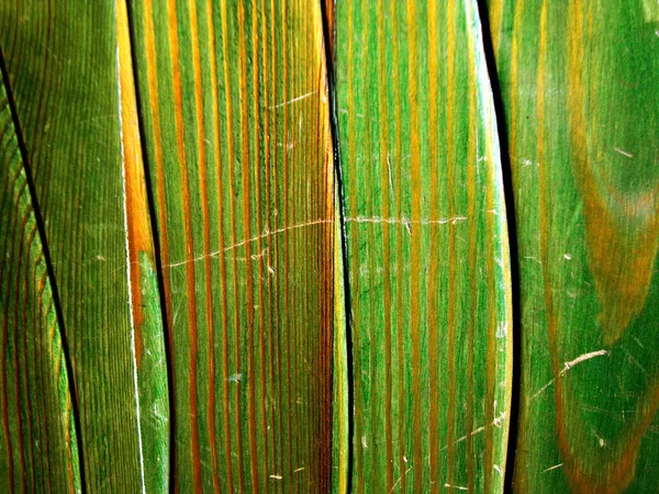 Зелений текстури деревини — стокове фото