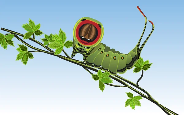 Caterpillar - Vettore — Vettoriale Stock