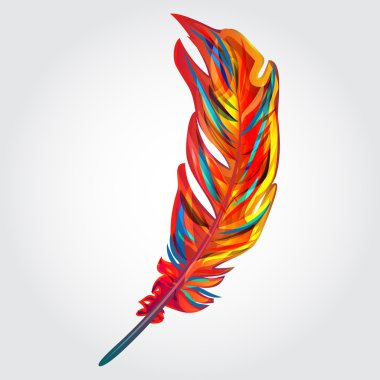 Parrot feather clipart