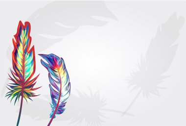 Background with feather clipart