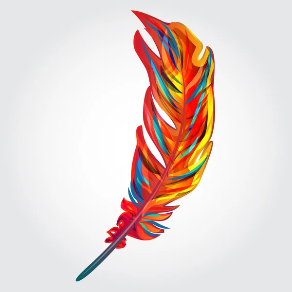 Parrot feather — Stock Vector