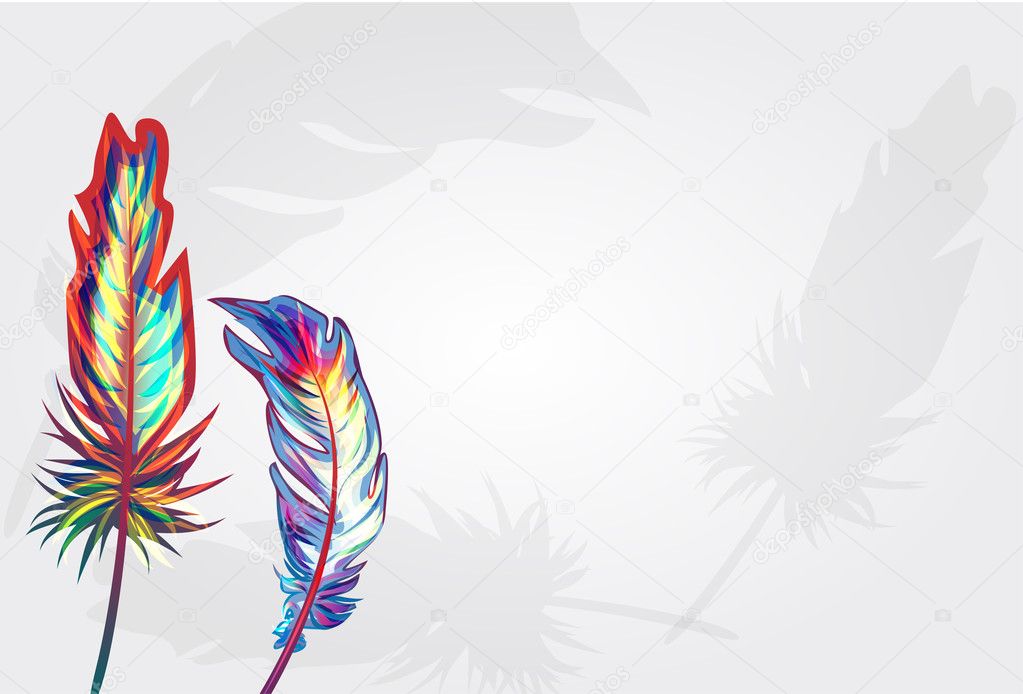 Background with feather