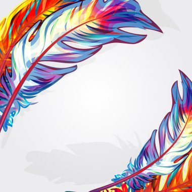 Bright feathers clipart