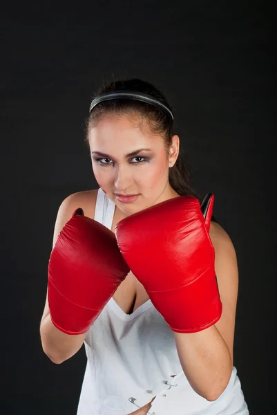 Kız boxer — Stok fotoğraf