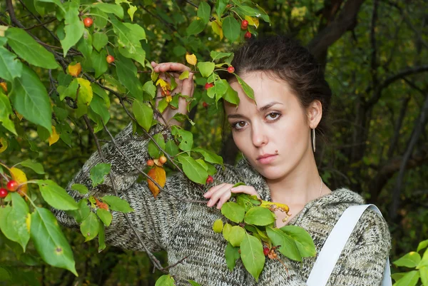 女の子と野生のりんごの木 — ストック写真