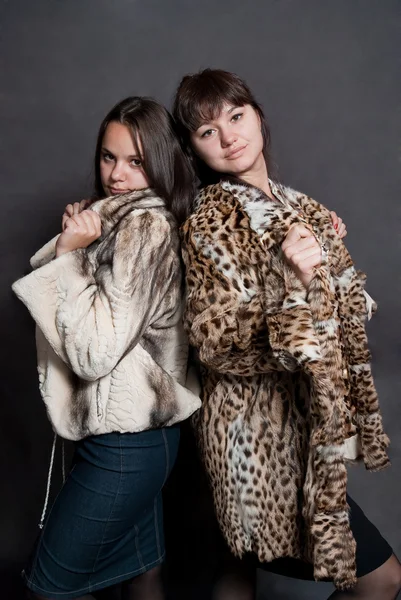 Two sexy girls in fur coat — Stock Photo, Image