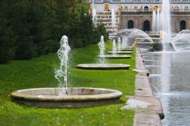 Fountains in lower park of the Peterhof clipart