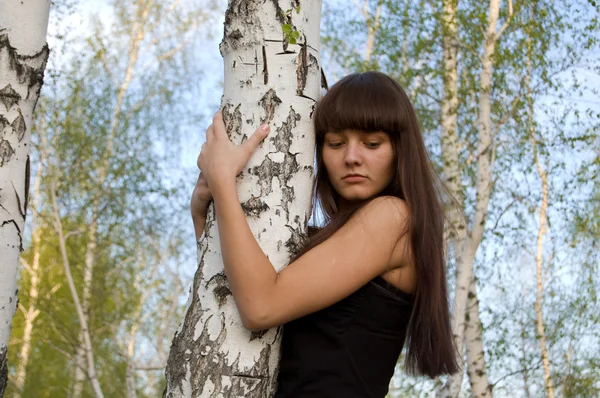 Girl hugging birch 2 — Stock Photo, Image