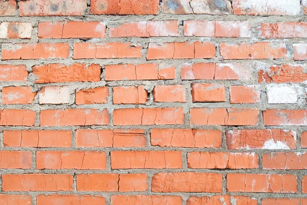 stock image Brick wall