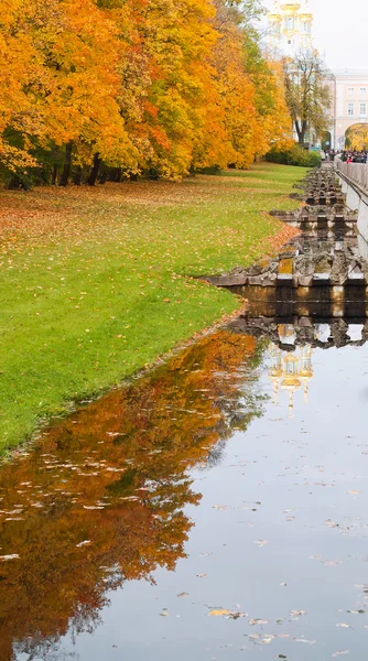 Herfst esdoorns in park — Stockfoto
