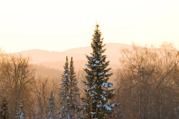 stock image Sunset in mountains