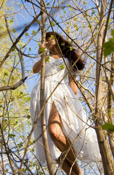 Wald junges Mädchen 3 — Stockfoto