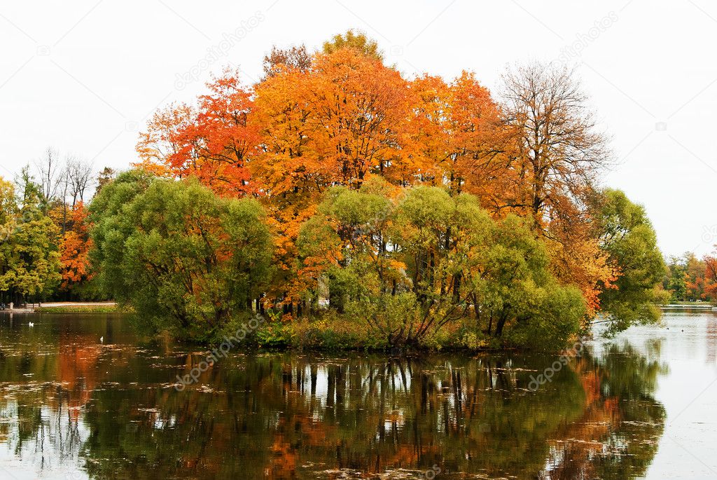 Island with willow and maple trees in the middle of pond in park Pushkin. St. Petersburg