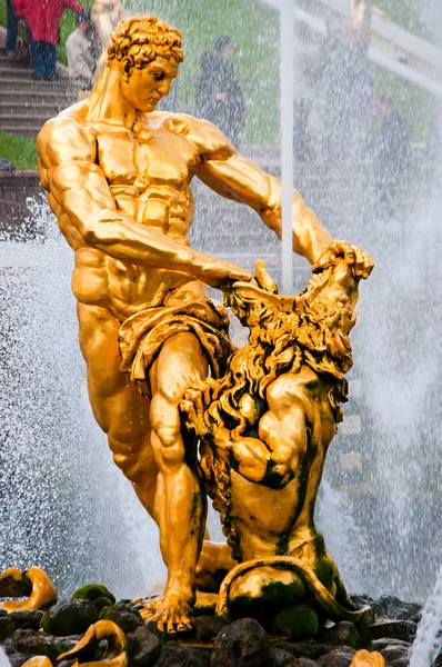 Goldene Statue Von Samson Unteren Park Von Peterhof Petersburg Russland — Stockfoto