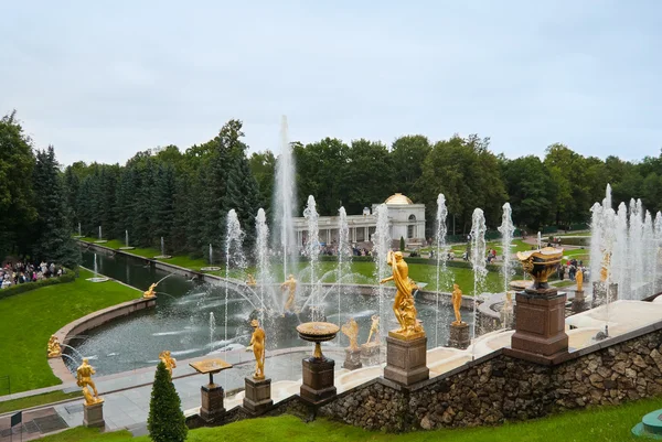 Parco inferiore del Peterhof — Foto Stock
