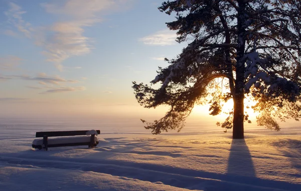 Emty park bankında, günbatımında karla kaplı. — Stok fotoğraf