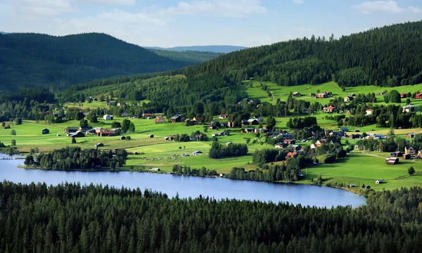 Swedish landscape — Stock Photo, Image