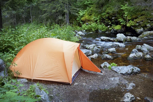 森の中でキャンプし — ストック写真
