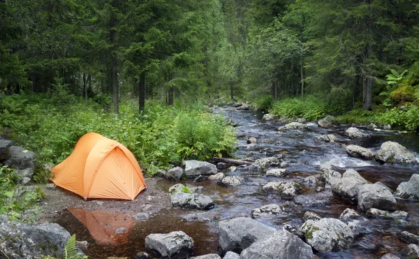 Camping w lesie — Zdjęcie stockowe