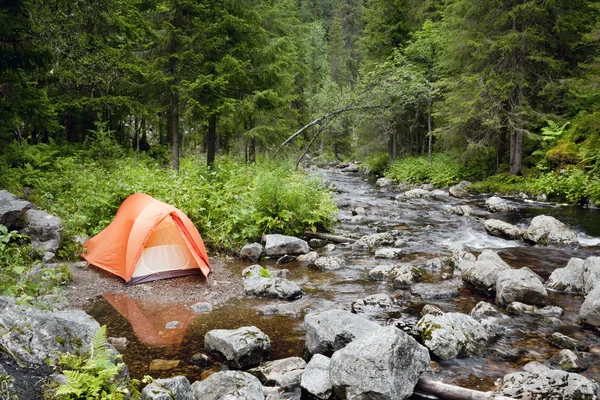 Camping i skogen — Stockfoto