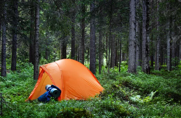 Acampar na floresta — Fotografia de Stock