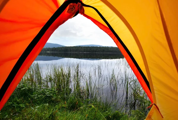 Camping i skogen — Stockfoto