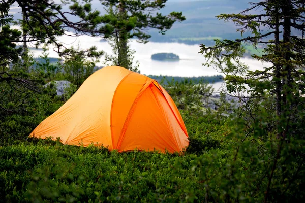 Camping dans la forêt — Photo