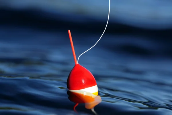 Corcho flotando en un lago tranquilo — Foto de Stock