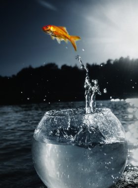 Goldfish jumping out of the water clipart