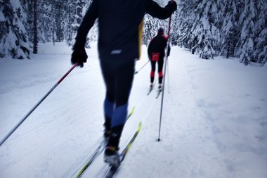 Skier in a winter forest clipart