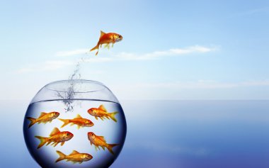 Goldfish jumping out of the water from a crowded bowl clipart