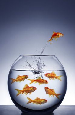 Goldfish jumping out of the water clipart