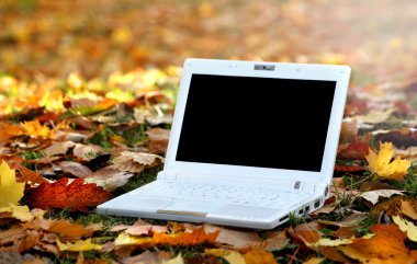 Laptop in an automn scene clipart