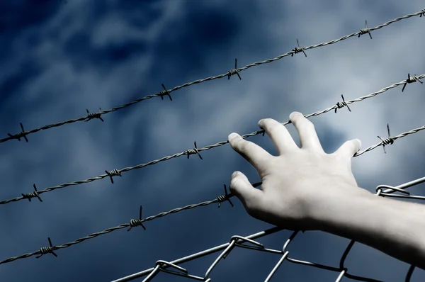 Barbed Wire and a hand — Stock Photo, Image