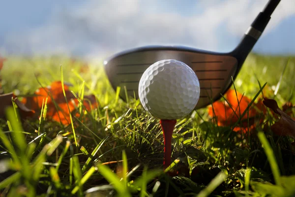 草の中のゴルフクラブとボール — ストック写真