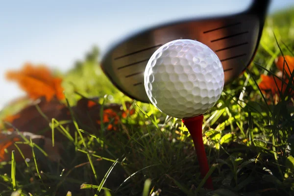 Golf club e palla in erba — Foto Stock