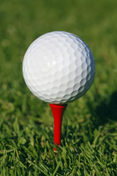 Boule de golf en herbe — Photo