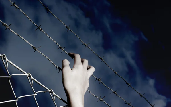 Barbed Wire and a hand — Stock Photo, Image