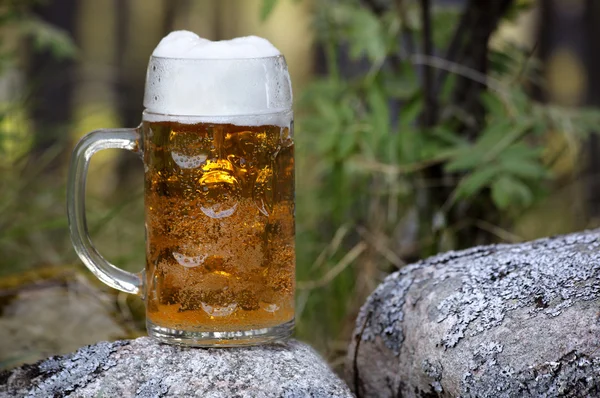 Beber cerveja na floresta — Fotografia de Stock