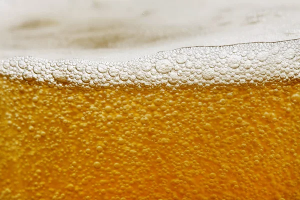 Beer — Stock Photo, Image