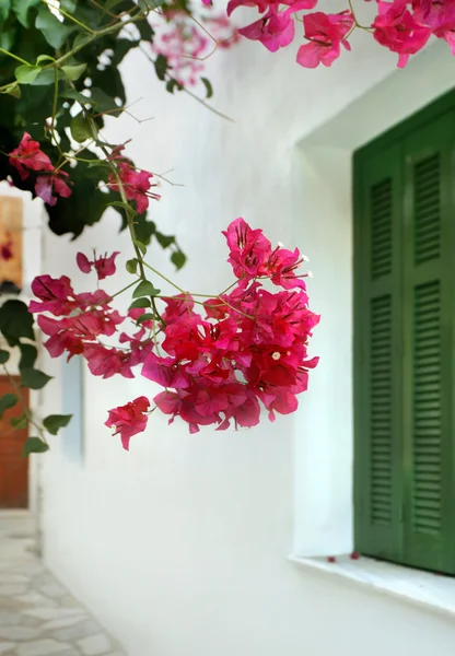 Греция, остров Фатос — стоковое фото