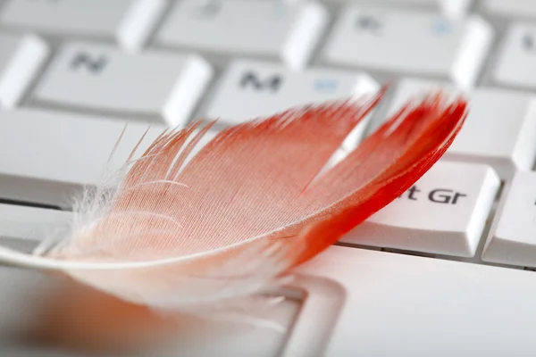 Feather on a laptop — Stock Photo, Image