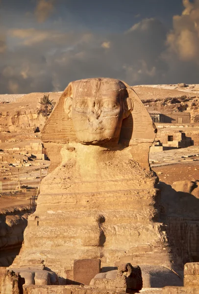 Sphinx and Pyramid — Stock Photo, Image