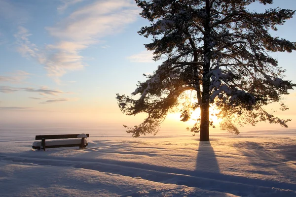 Panchina del parco coperta di neve — Foto Stock
