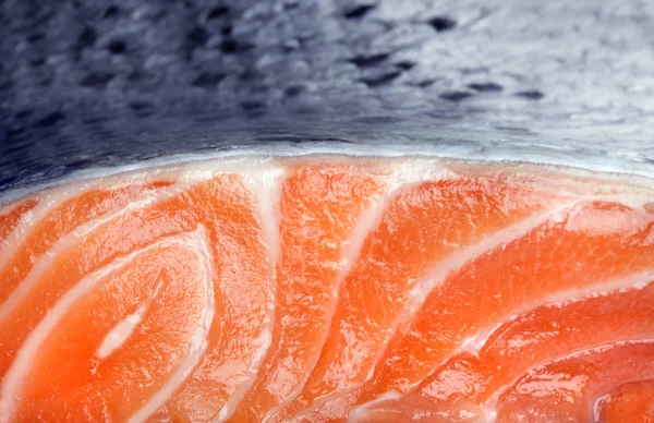 Salmone fresco su fondo bianco — Foto Stock